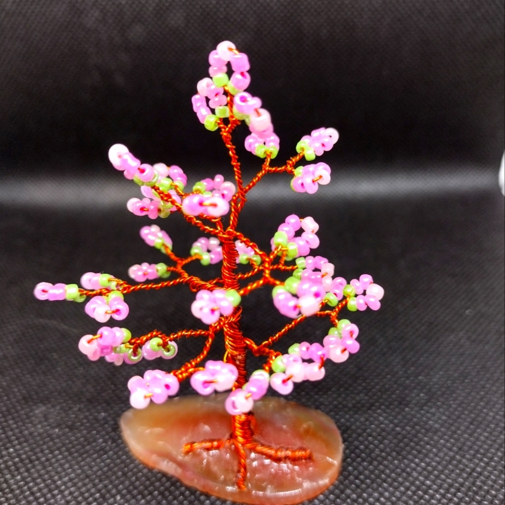 Lucky small cherry tree